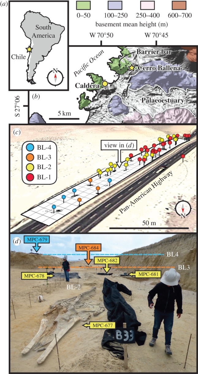 Figure 1.