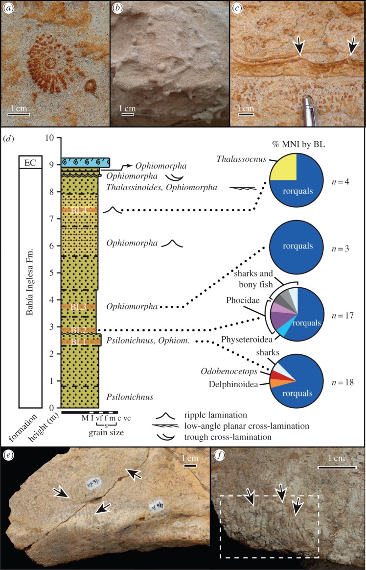 Figure 2.