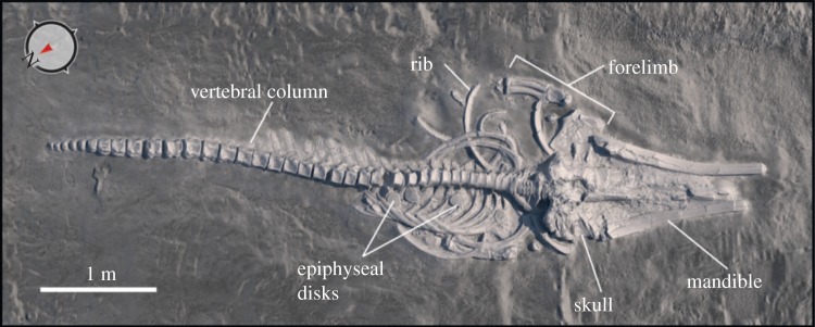 Figure 3.