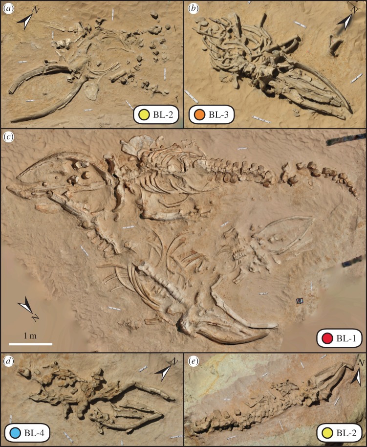 Figure 4.