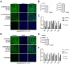 FIG 6