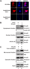 FIG 3