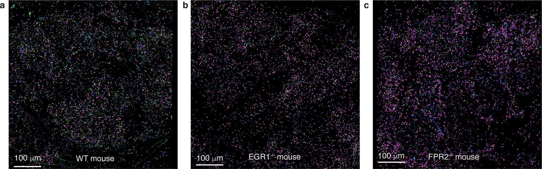 Extended Data Fig. 5