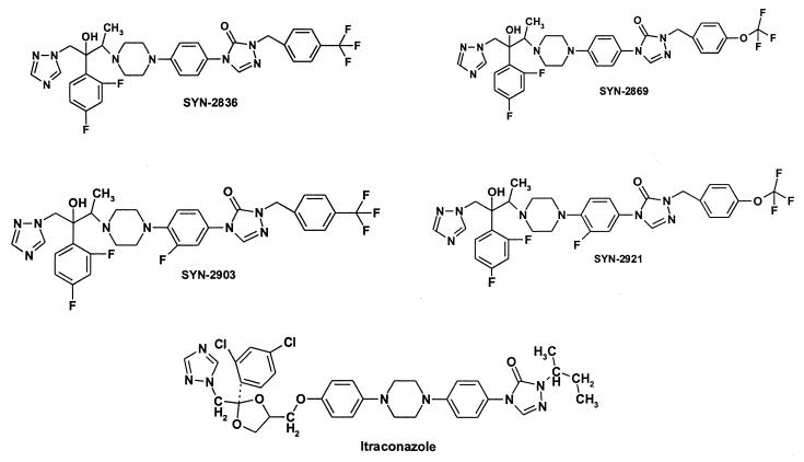 FIG. 1