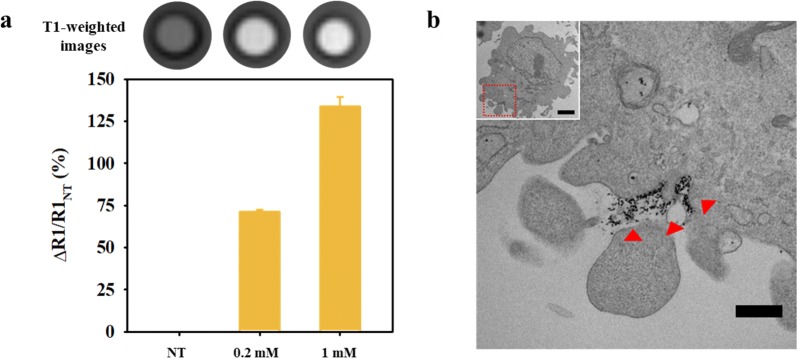 Fig. 7