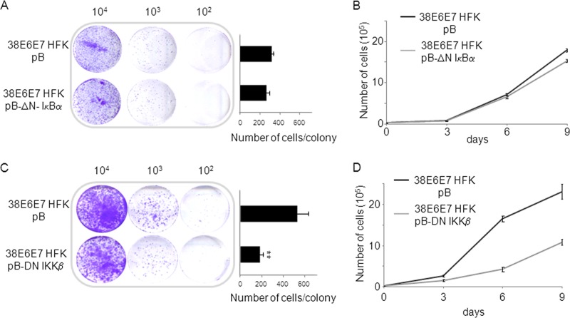 Fig 6