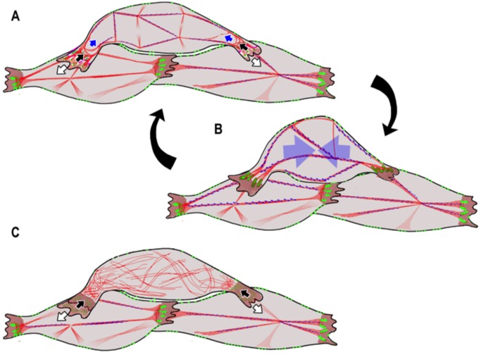 Fig. 7.