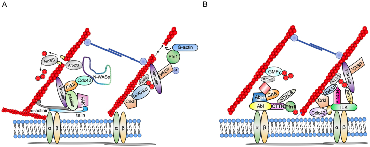 Figure 5