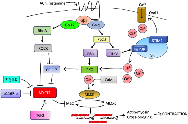 Figure 3