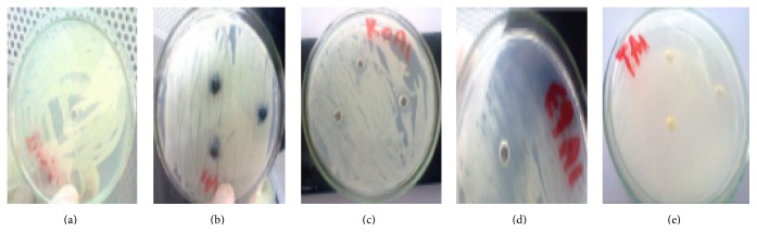 Figure 4