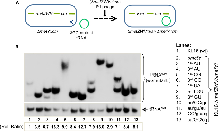 Figure 2.