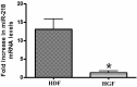 FIGURE 1: