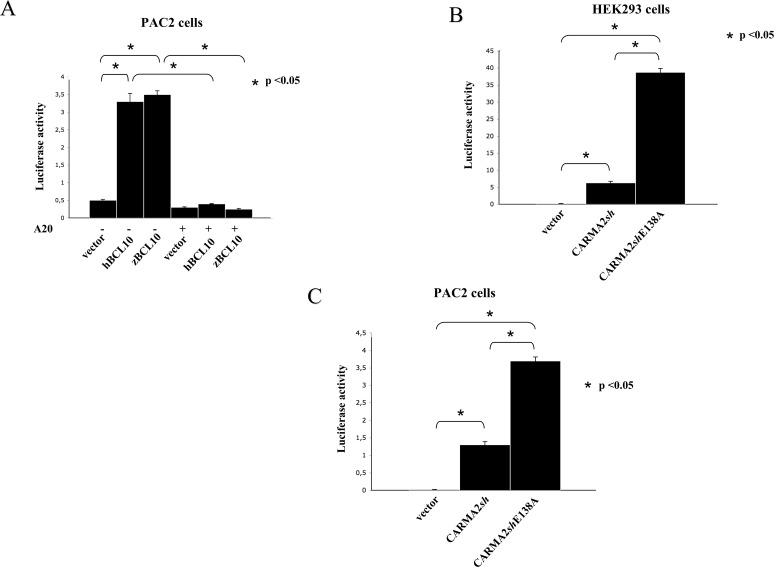 Fig 7