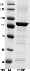 Fig. 4