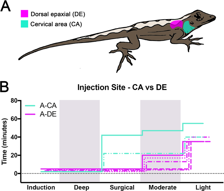 Figure 1: