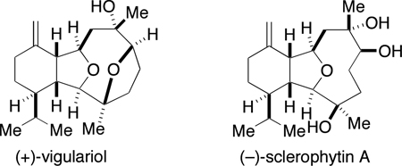 graphic file with name nihms319810f7.jpg