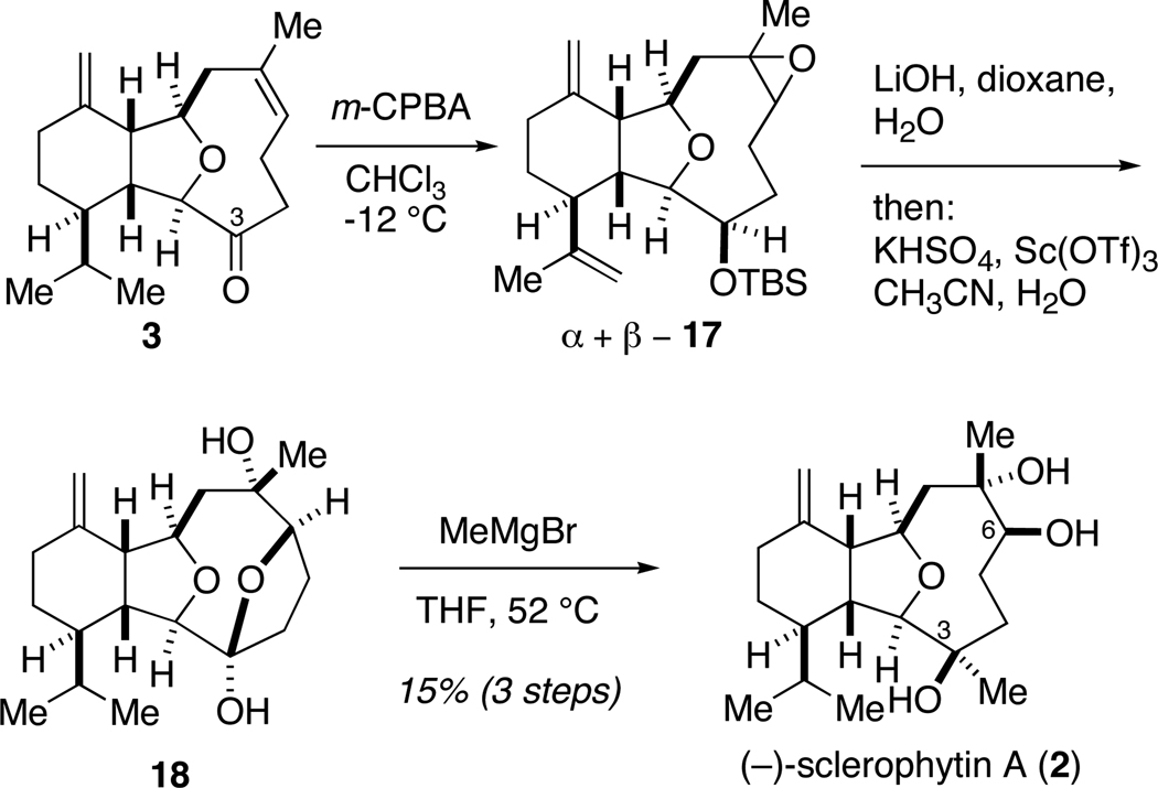 Scheme 4