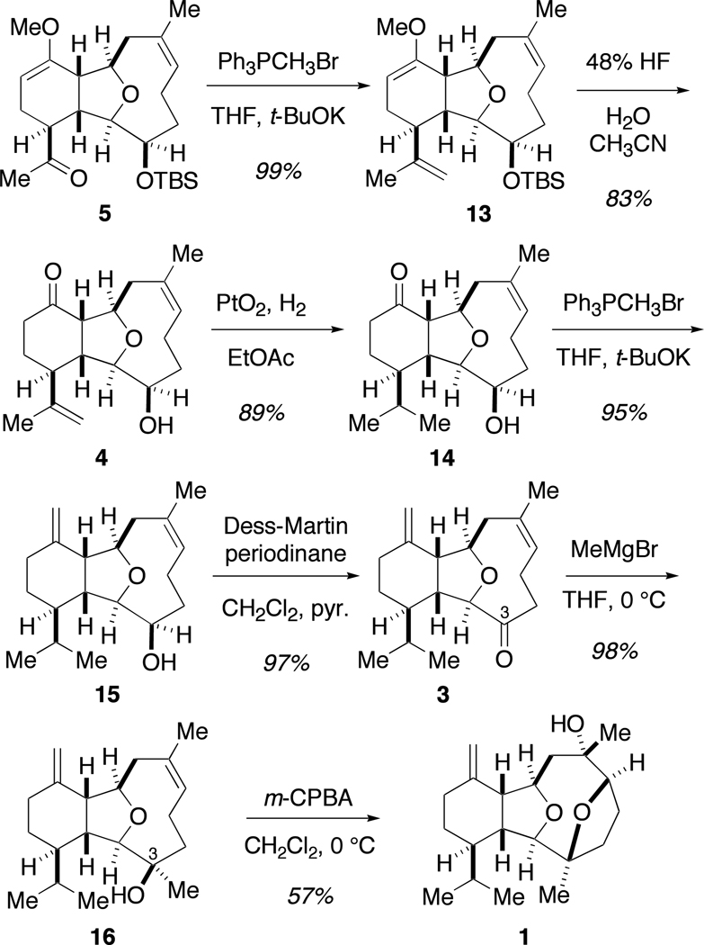 Scheme 3