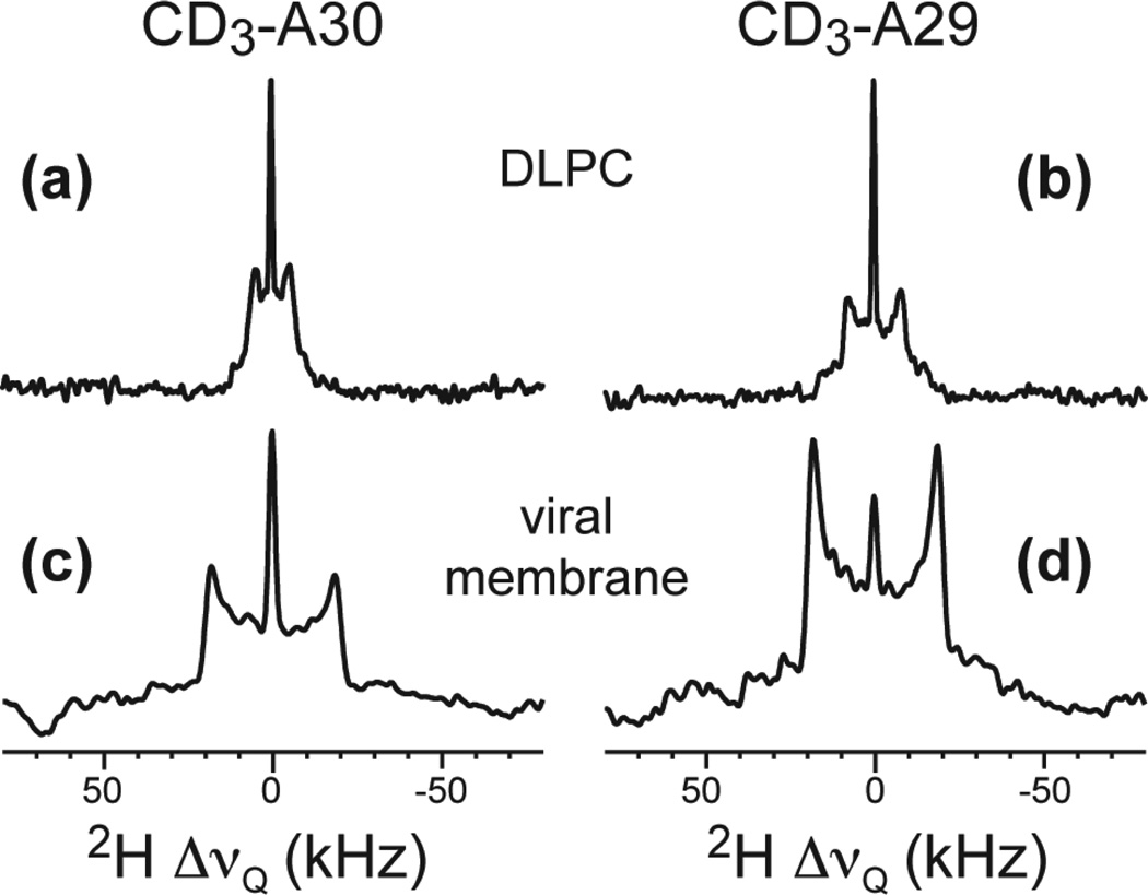 Fig. 2