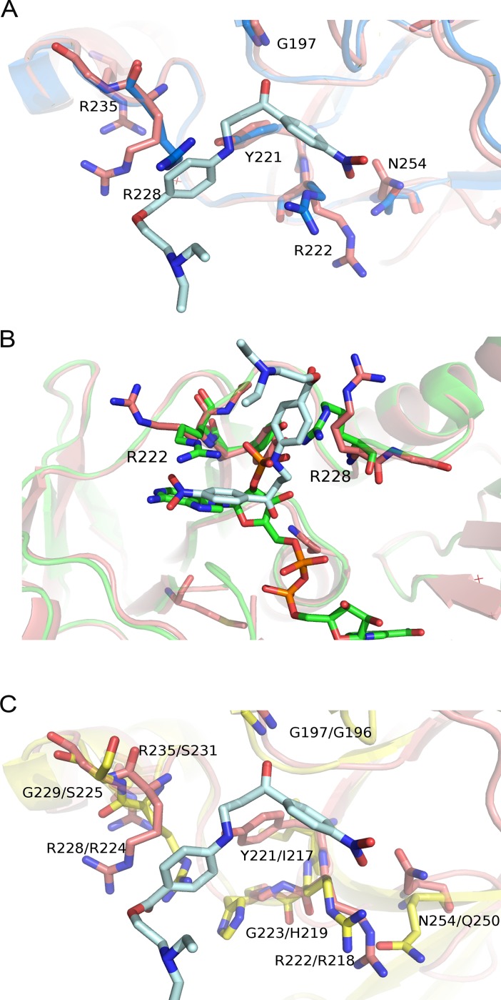 Fig 9