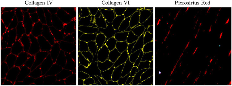 Figure 5: