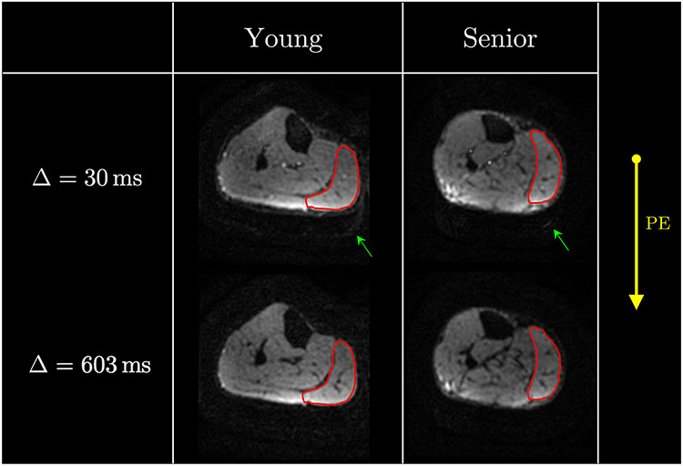 Figure 2: