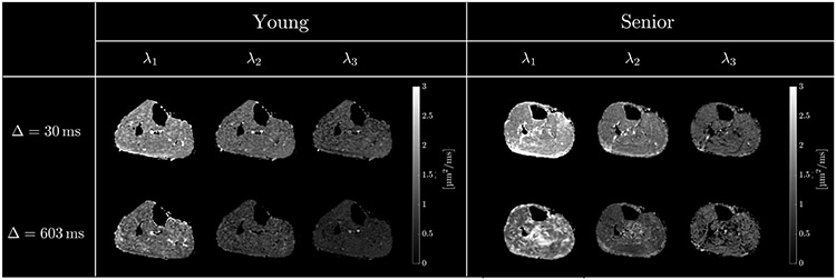 Figure 3: