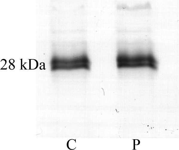 Fig. 8.