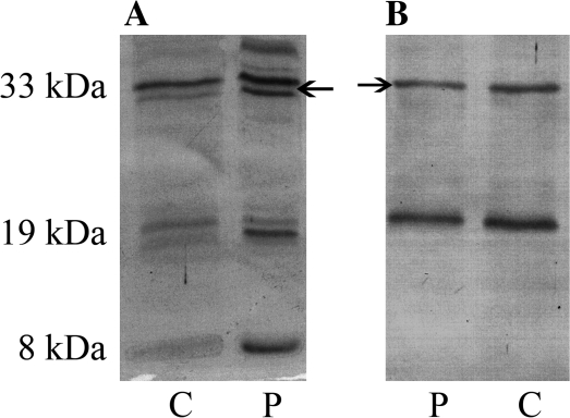 Fig. 9.