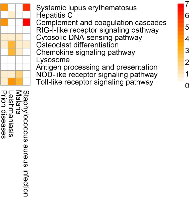 Figure 7