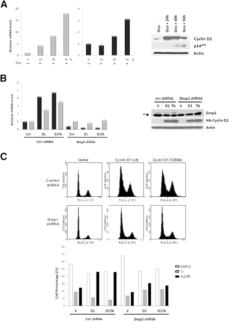 Figure 3