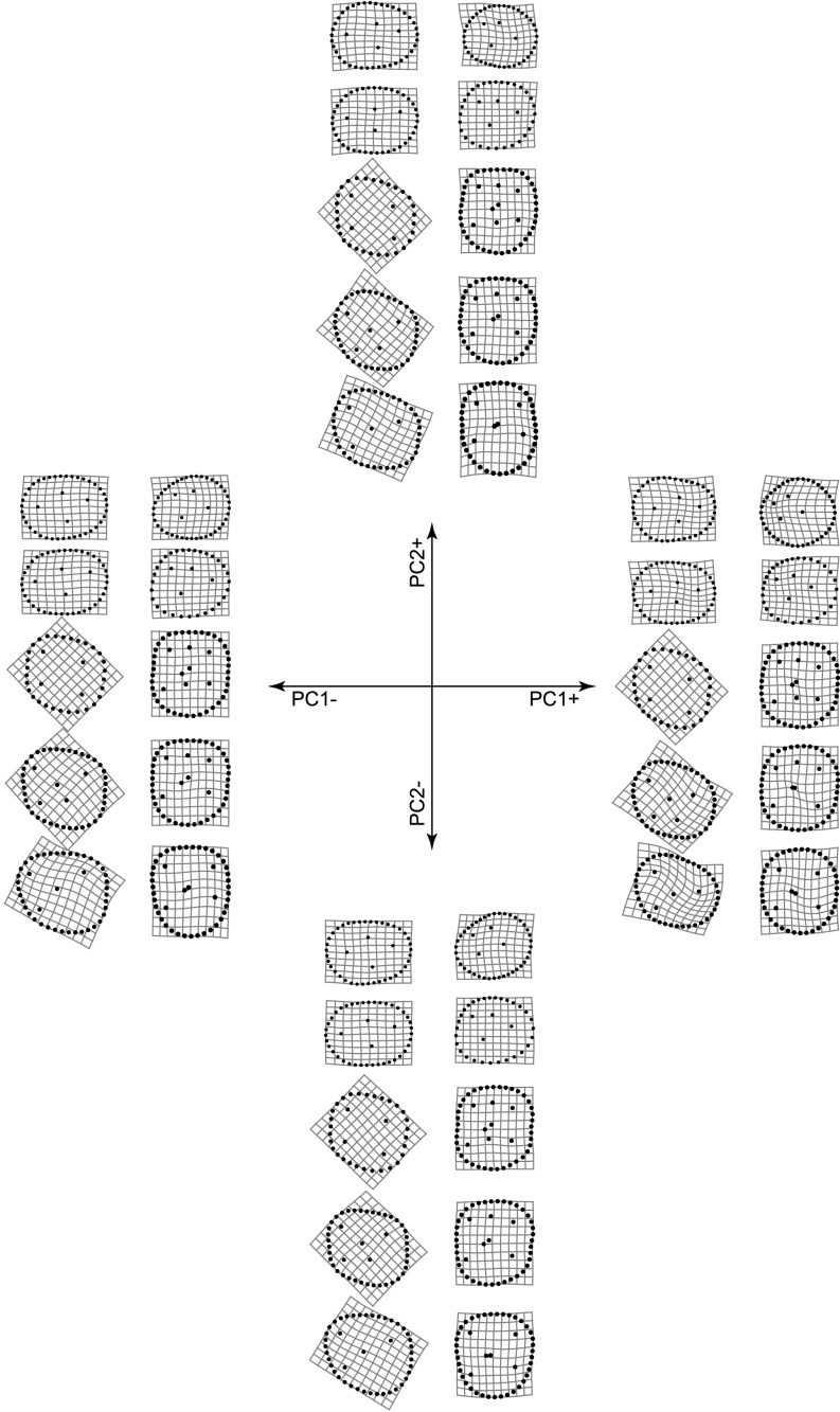 Fig. S4.