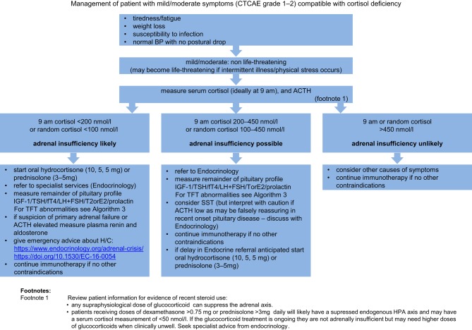 Algorithm 2