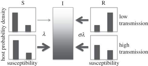 Figure 1.