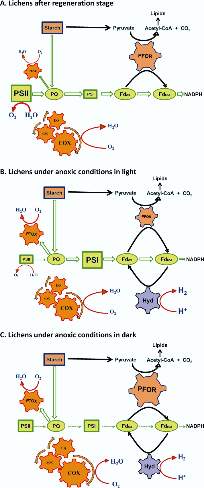 Fig 10