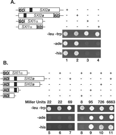 FIG. 5.