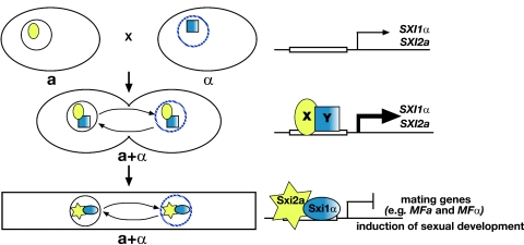 FIG. 6.