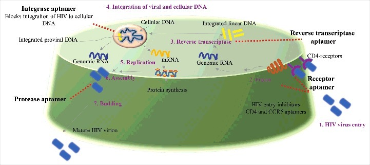 Figure 2.