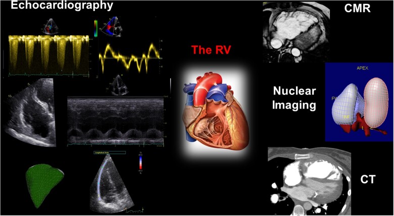 Graphical Abstract