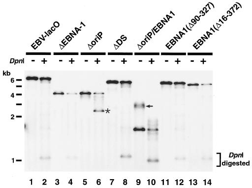 FIG. 7