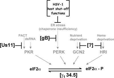 FIG. 8.