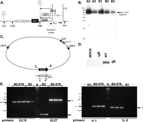 FIG. 6.