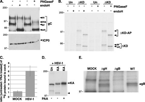 FIG. 5.