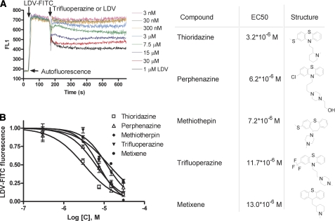 FIGURE 1.