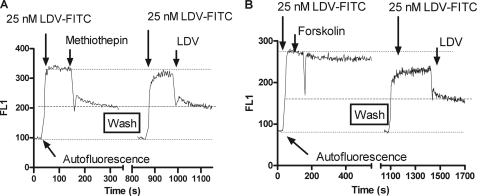 FIGURE 3.