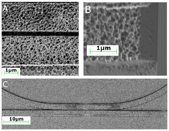 Fig. 6