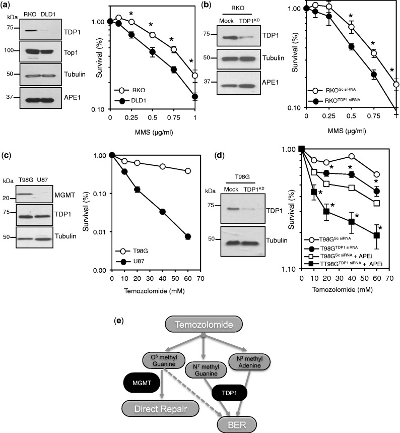 Figure 9.