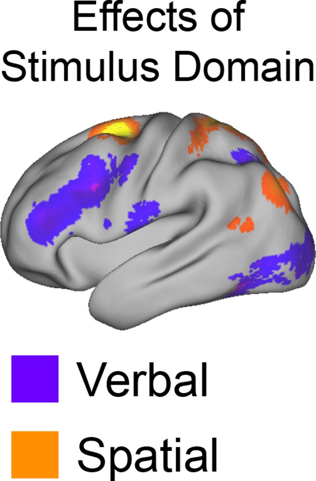 Figure 3—figure supplement 1.