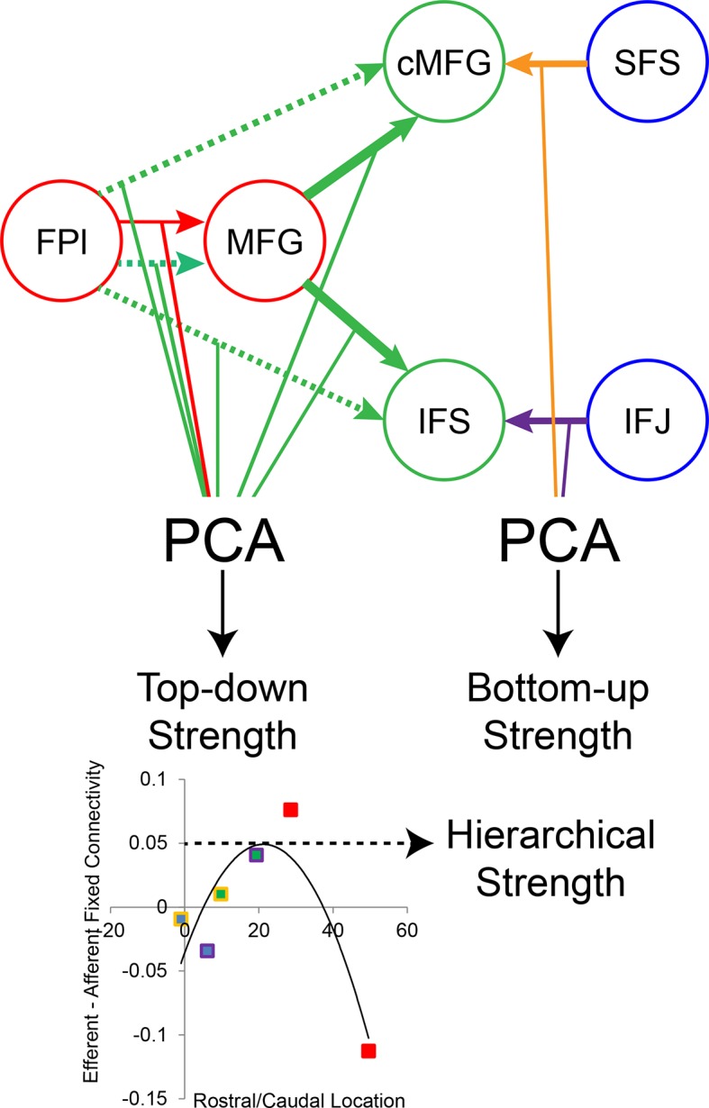 Figure 8—figure supplement 2.