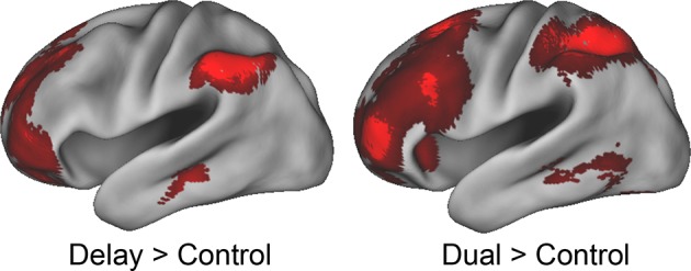 Figure 3—figure supplement 2.